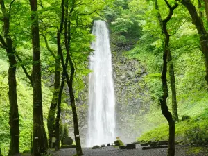 玉簾の滝