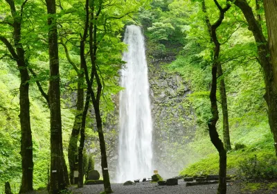 酒田市