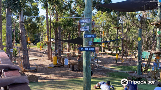 Next Level Monkey Business