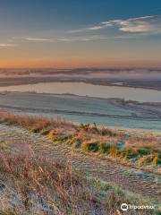 RSPB St Aidan's