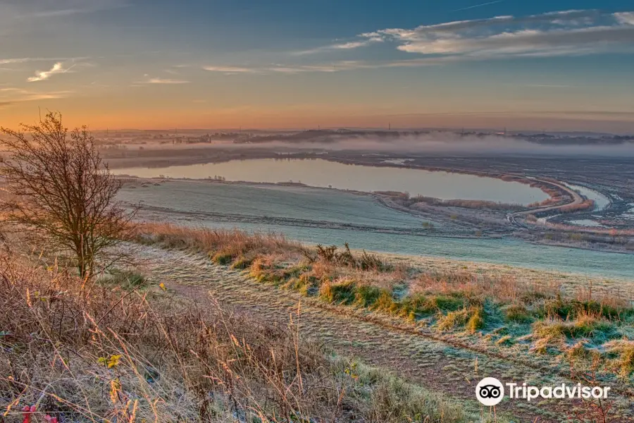 RSPB St Aidan's