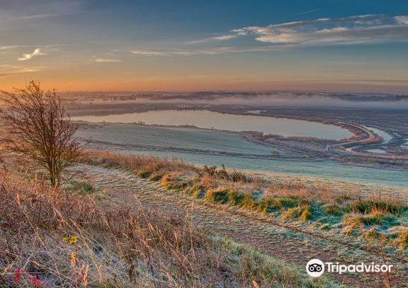 RSPB St Aidan's