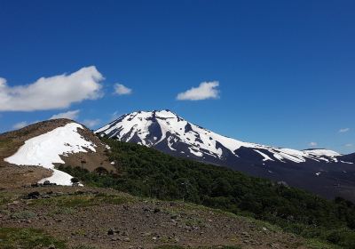 Reserva Nacional Malalcahuello - Nalcas