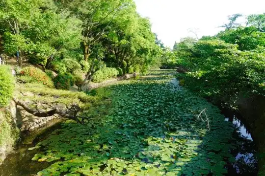 鄰近道後公園的酒店