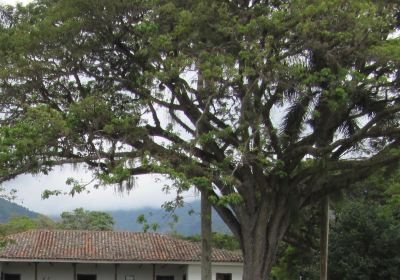 Casa Museo Hacienda El Paraíso