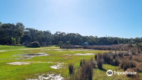 Coogoorah Reserve