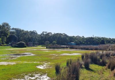 Coogoorah Reserve