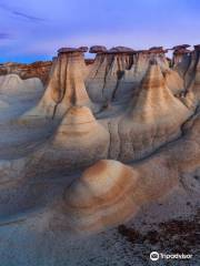 Bisti/De-Na-Zin Wilderness