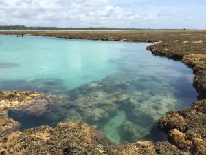 Piscinas Naturais