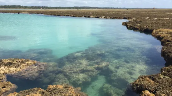 Piscinas Naturais