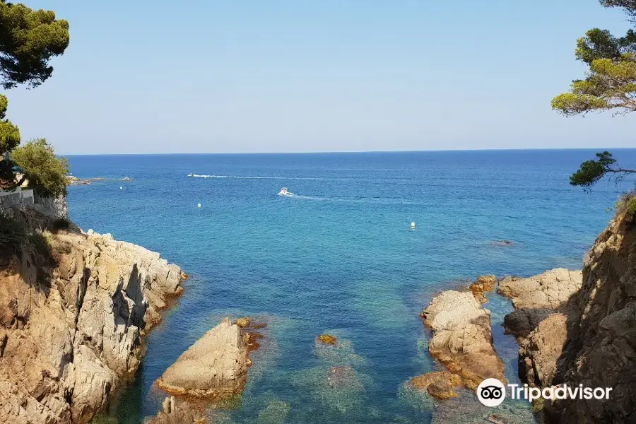 Camino de Ronda de S'Agaró a Sa Conca