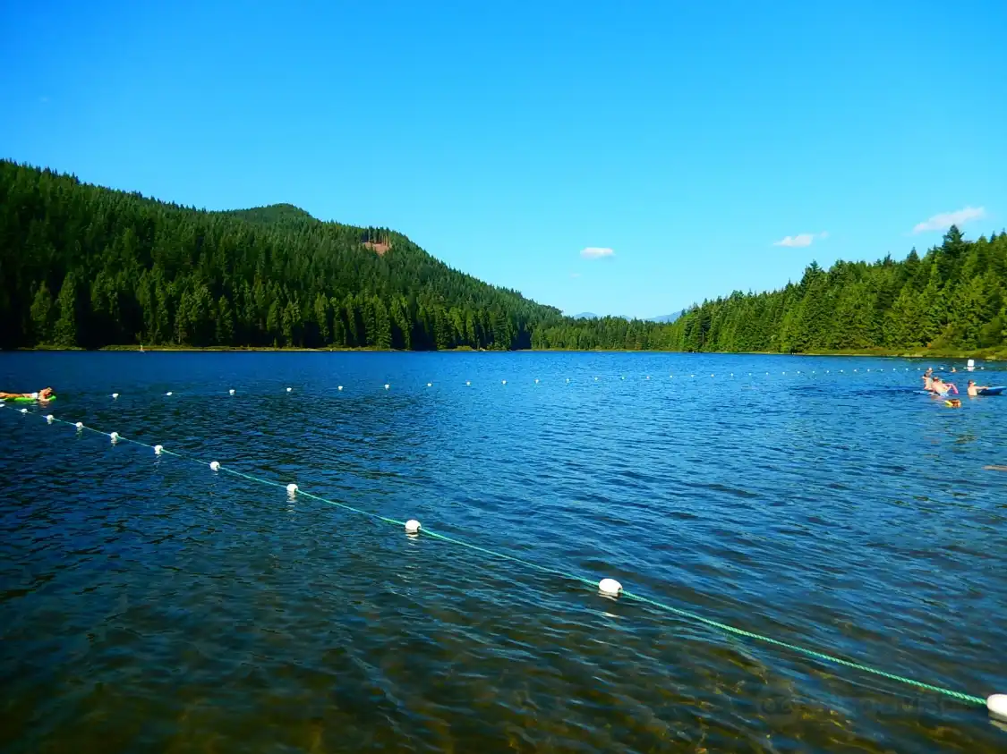 Hotels near Rolley Lake Provincial Park