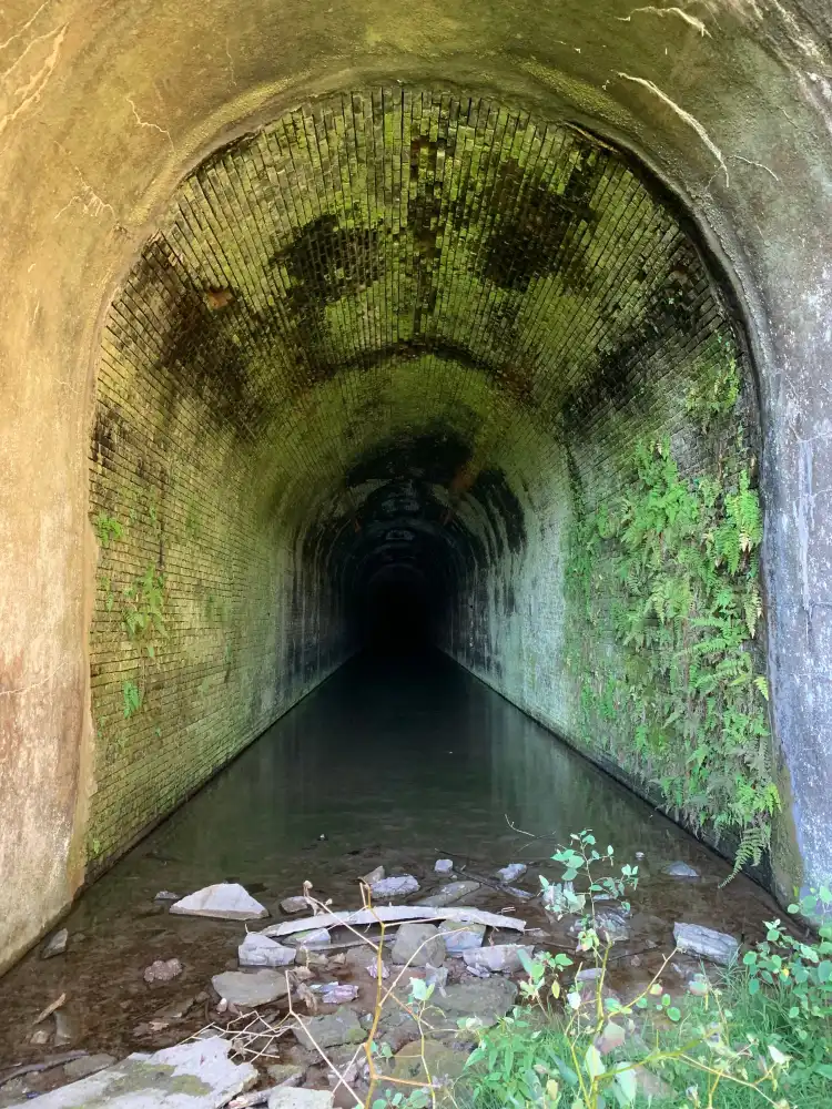 Hotels in Upshur County