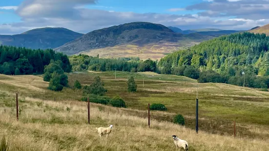 Angus Glens