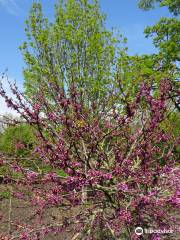 Arboretum de Dreijen