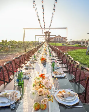 Van Ardi Winery