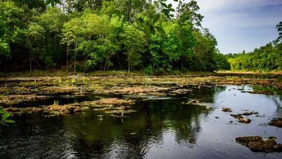 Big Shoals Wildlife Management Area - Zone B