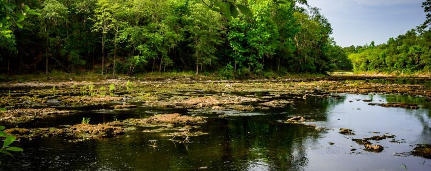 Big Shoals Wildlife Management Area - Zone B