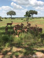 Phalaborwa Gate @ Kruger National Park