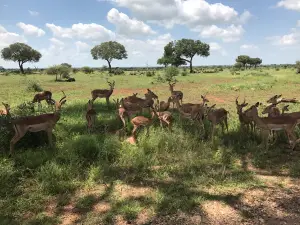 Phalaborwa Gate @ Kruger National Park