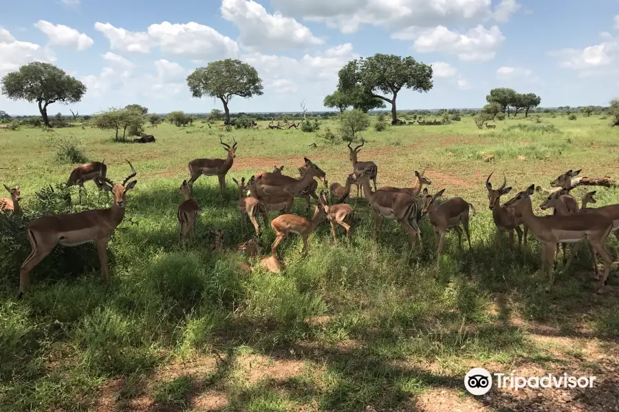 Phalaborwa Gate @ Kruger National Park