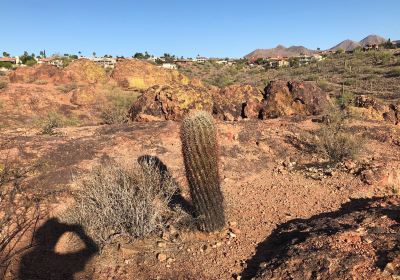 Fountain Hills Botanical Garden