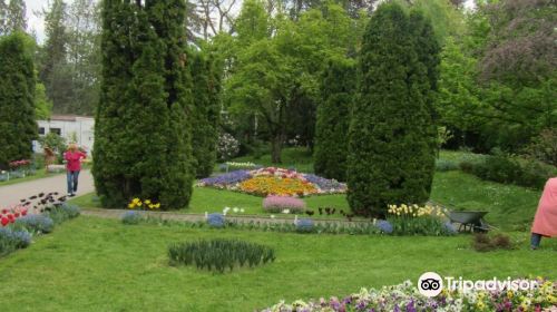 Alexandru Borza Botanical Garden
