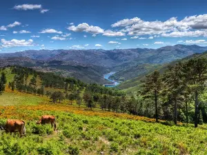 Parc national de Peneda-Gerês