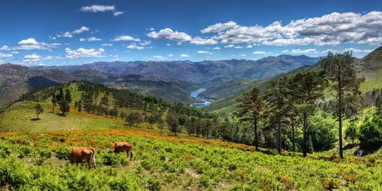 Hotels near Peneda-Gerês National Park