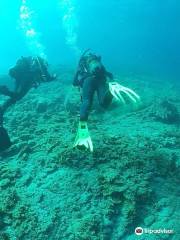 Blue Island Divers