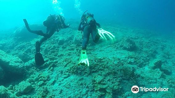 Blue Island Divers