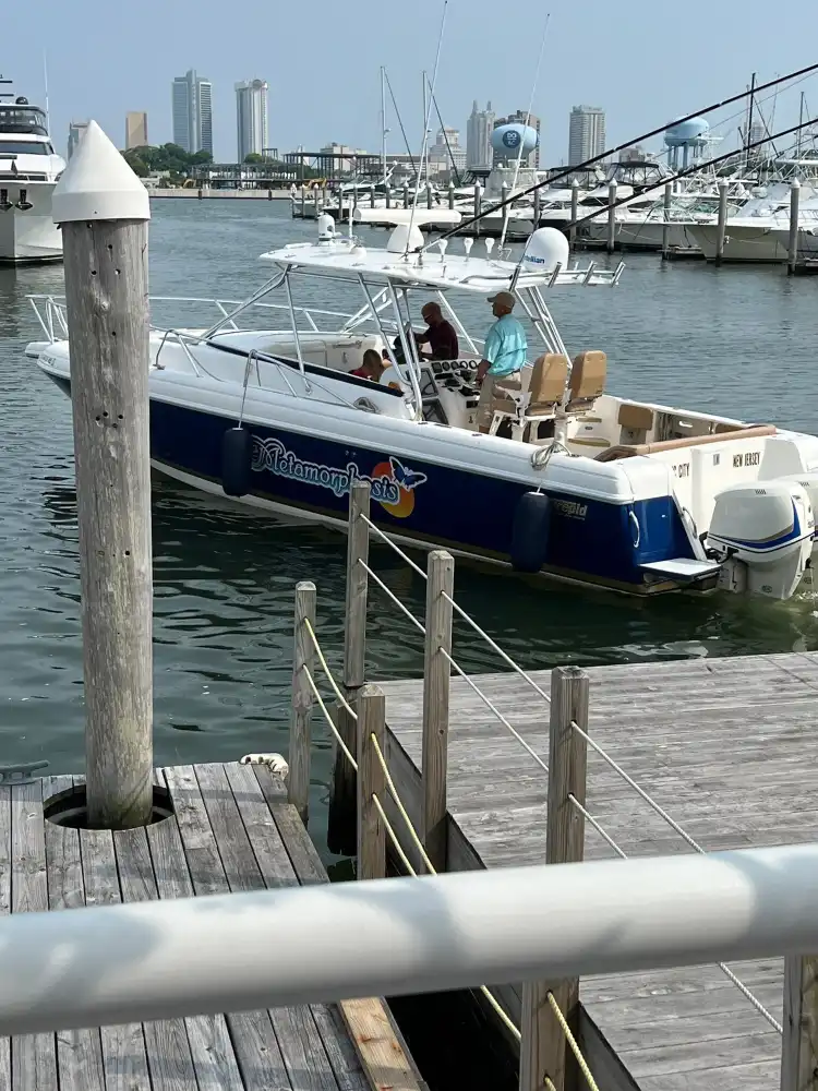 Hotels near Metamorphosis Boat Charters