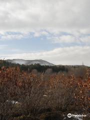 Sorkheh Hesar National Park