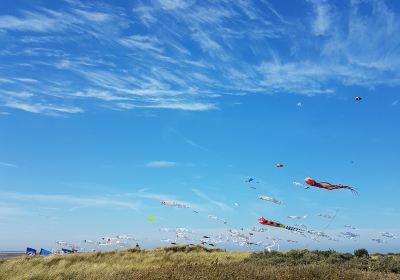 Groene Strand