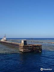 Daedalus Reef Lighthouse