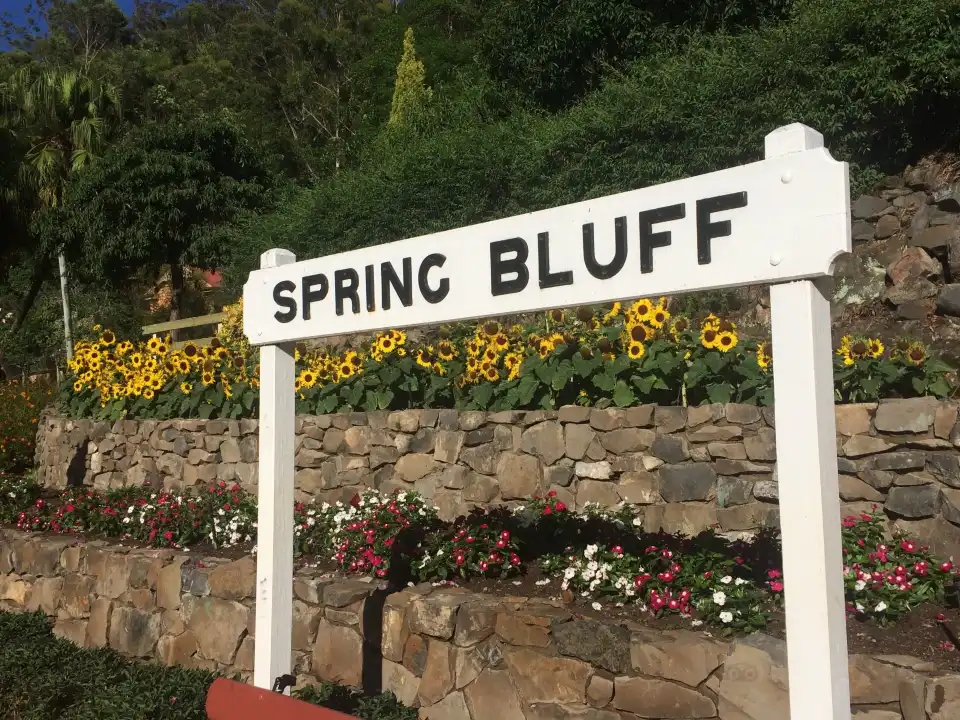 3_Spring Bluff Train Station