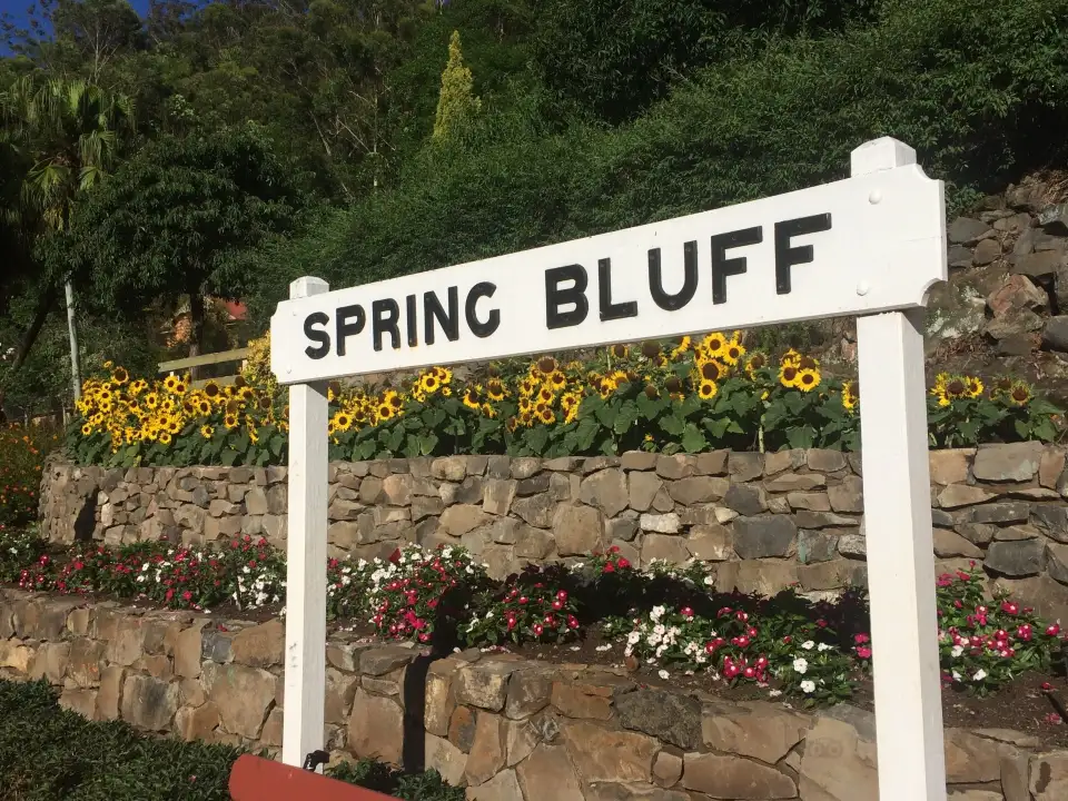 3_Spring Bluff Train Station