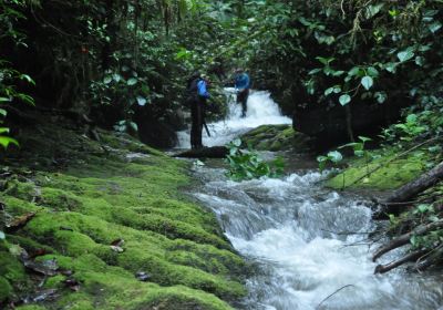 Provincia del Napo