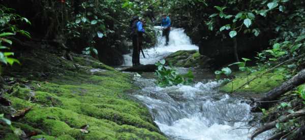 Ξενοδοχεία σε Napo, Ecuador