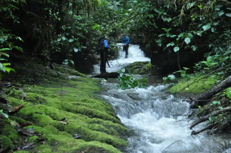 2 stjerner hoteller i Napo Province, Ecuador
