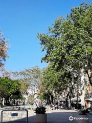 Plaza del Parque