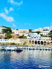 Altamarea Ustica Diving Center