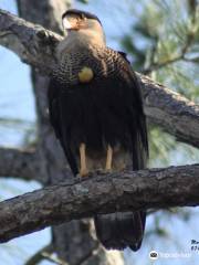 Allapattah Flats Wildlife Management Area