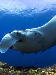 Trang Scuba Diving