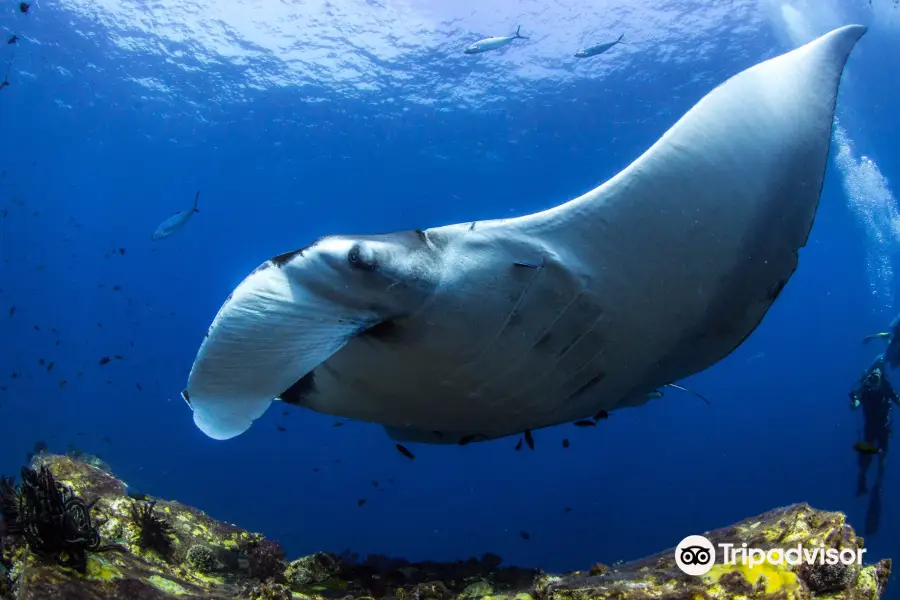 Trang Scuba Diving