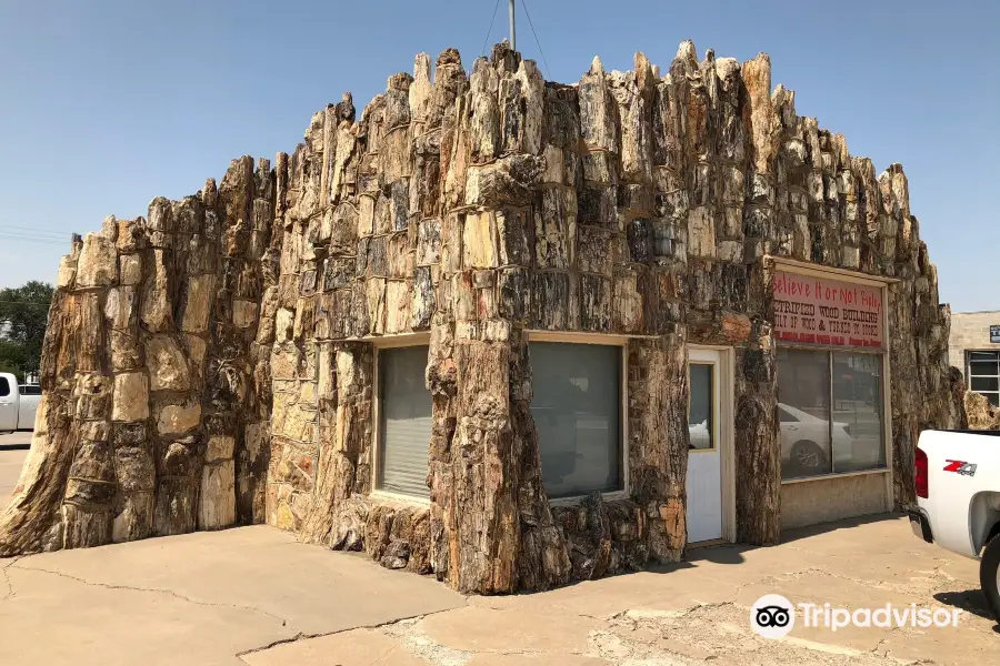 Petrified Wood Gas Station