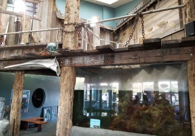 SEA Discovery Center