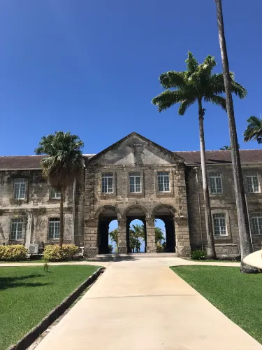 コドリントン大学