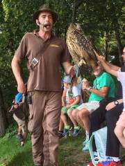 Altenfelden mit Trophäensaal Zoo