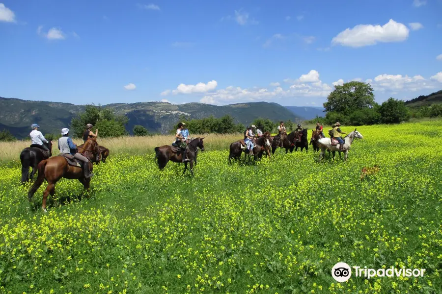 ASD Cavallo Avventura